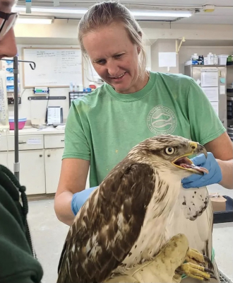 A woman with blonde hair wearing a green shirt with a ferruginous hawk.