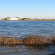 NEW volunteer opportunity- water quality monitoring project in Little Bay, Rockport, Texas